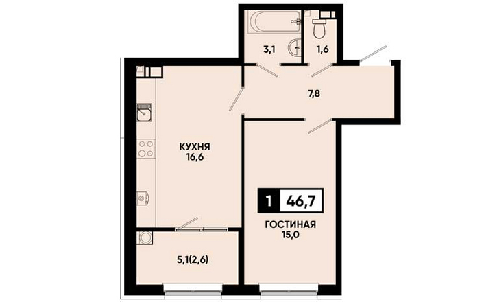 Однокомнатная  квартира